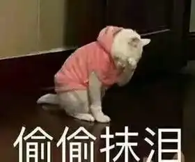 听我的这份军训指南你必须pick