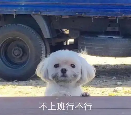 不想上班表情包