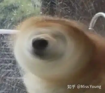 上海名媛群文章中低价拼顶级下午茶酒店奢侈品的现象真实吗反映了哪些问题