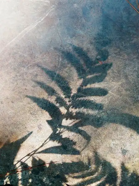 素可泰的相册光与影
