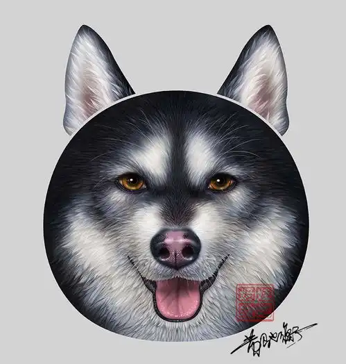 娃他妈3d立体卡通动物插画