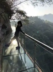 五指石识得庐山真面目