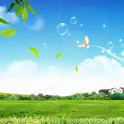 简约小清新背景图片素材免费下载psd格式800800像素熊猫办公