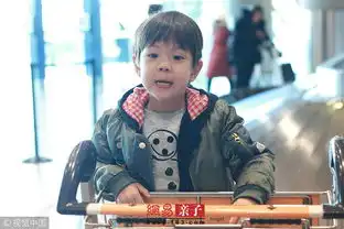 嗯哼坐行李车龇牙吐舌鬼马表情超可爱