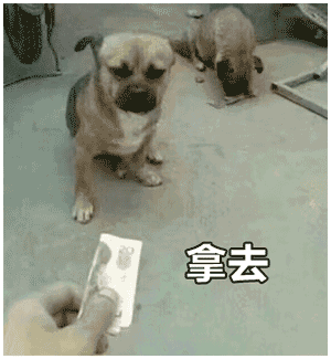 表情听说,最近有个叫派大星的在到处骗钱