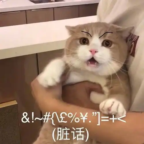 可爱有趣的沙雕朋友圈文案