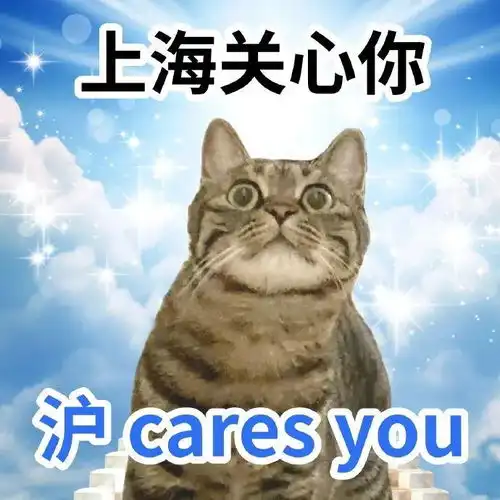 很实用的猫猫表情包大全
