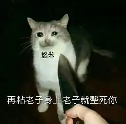 孤儿英雄悠米胜率垫底还要削,只因职业选手太强,建议删除