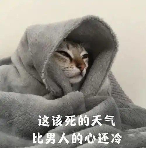 秋冬养肤没油你真的不行