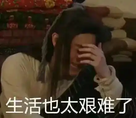 黎姿张柏芝姐妹花