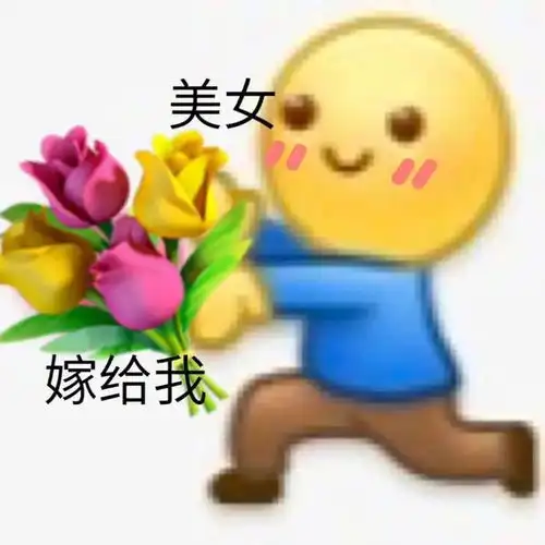 美女嫁给我表情包