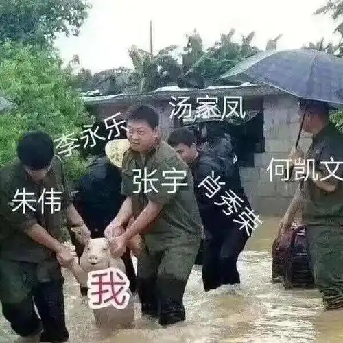 考研太苦,上岸太难送你表情包防身用