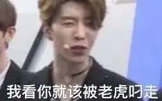 乐华七子上海场看台cxjj的绝望打call