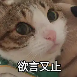 你最可爱图片表情包