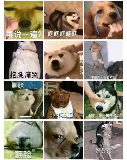 肖战变身端水大师8g网在线追星,打榜反黑两不误不愧是表情包大户