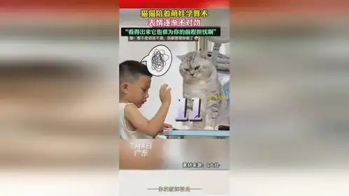 猫猫陪着萌娃学算术,表情逐渐不对劲,看得出来它也很为你的前程担忧啊