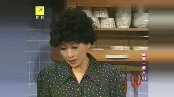 搞笑一家人中文版