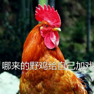 几十张沙雕表情包,聊天必备