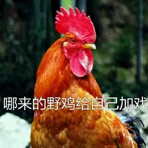 几十张沙雕表情包,聊天必备