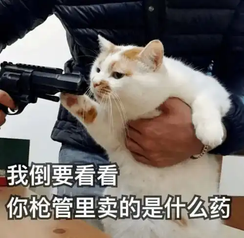 一只猫,到底能有多绿茶