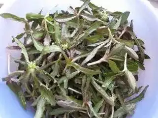 南阳人舌尖上的春天,你尝到了吗