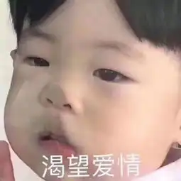 每日表情丨猪猪女孩必备