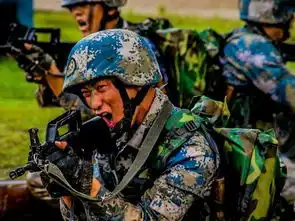 解放军战狼的专属面孔表情,绝对让你热血沸腾