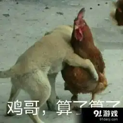 算了算了表情包信息,使用方法,免费下载