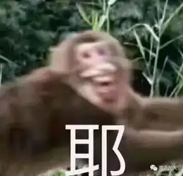 直到有一天,我妈问我马原是谁