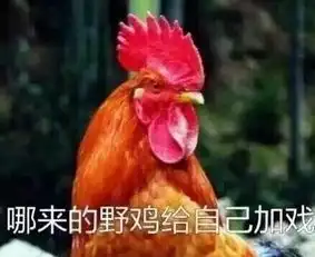 清宫野史揭秘十全老人背后的故事