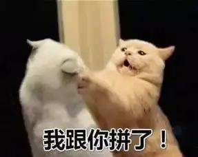 抖音韩美娟表情包在哪下载韩美娟高清表情包分享