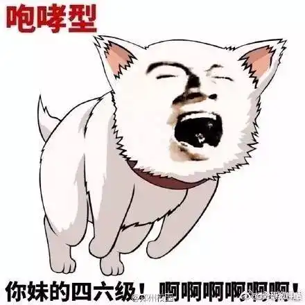 今天你查四六级成绩了吗