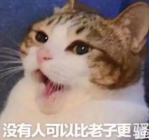 这是我见过最撩的自黑情话,一百婚