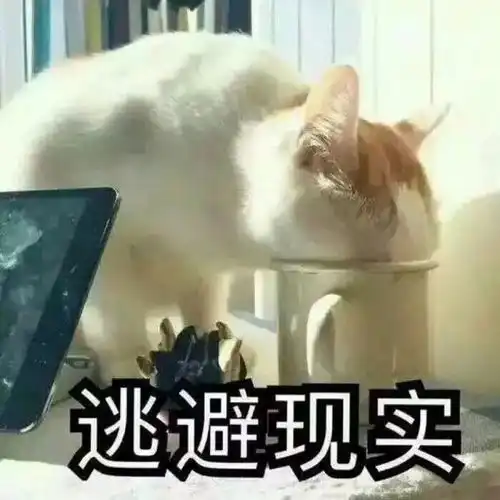 安徽人个别品行都不咋地,是真的没有地域歧视