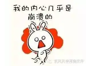 11岁男孩偷开车上路,撞死路人逃逸,结果他说