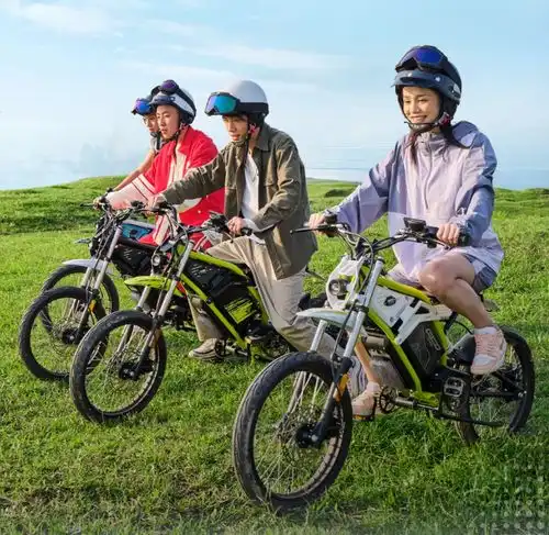 5699元,宗申旗下森蓝ex1轻越野跨骑电动自行车发布