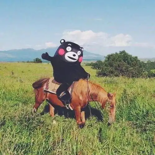 天津相声广播毒蘑菇和初恋一样,甜,但是伤人
