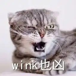 霸道总裁or小可爱