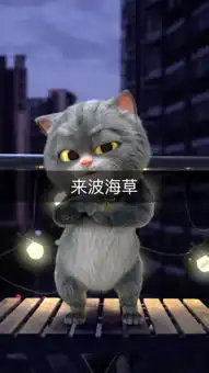 斑布猫的主页快手直播