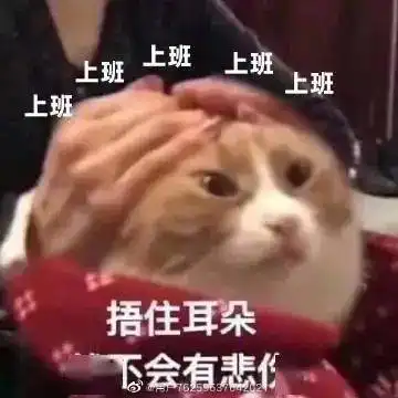 gun老子不干了丨第152期喵表情