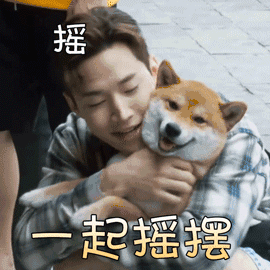 表情摇摆gif动态图摇摆gif素材摇摆表情包gif工具soogif表情
