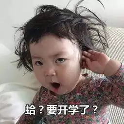 入学宝典,请收好