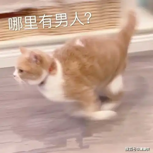 搞笑表情包图片哪里有男人,开饭了