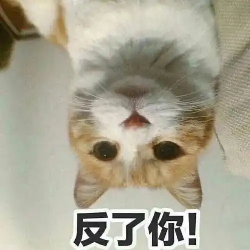 有没有姐妹碰到过闲鱼发布审核的情况