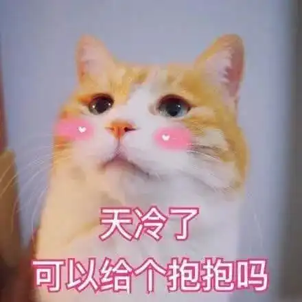猫咪表情包天冷了,可以给个抱抱吗