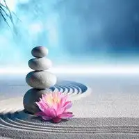 佛教莲花图片大全头像禅意意境微信头像图片大全