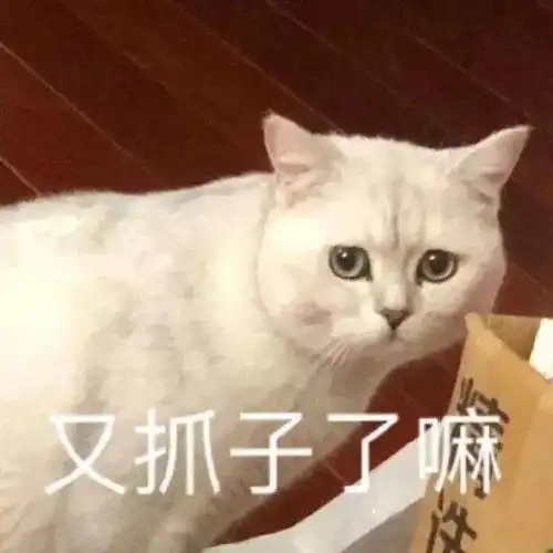 表情包毕竟你是太阳不是我一个人的光