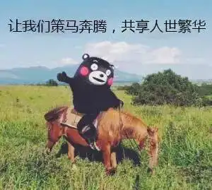 11个世纪公园都没它大,闵行这座郊野公园光凭美景就刷爆朋友圈