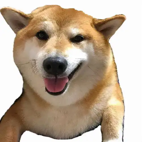 给狗狗留点面子吧是怎么回事,关于给狗狗留点面子吧表情包的新消息多特软件资讯