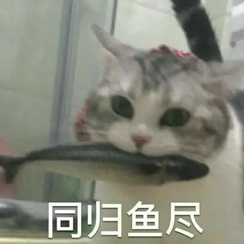 20条可爱到打滚的句子一直很尊重金钱,没偷,没抢,没有